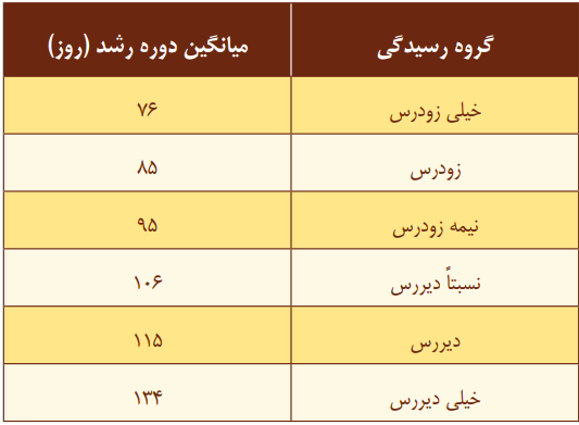 انواع سیب زمینی از نظر طول دوره رسیدن